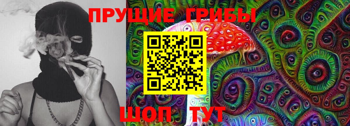 Псилоцибиновые грибы мицелий Грозный