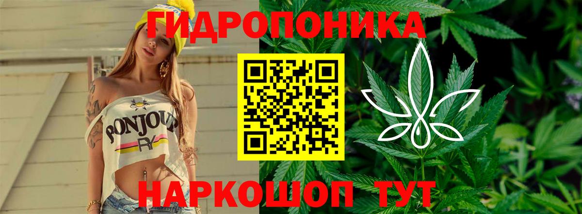 Канабис LSD WEED  Вход с VPN  Каннабис LSD WEED  Бошки Шишки тримм  Грозный 
